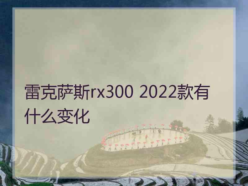 雷克萨斯rx300 2022款有什么变化