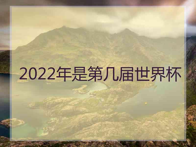 2022年是第几届世界杯