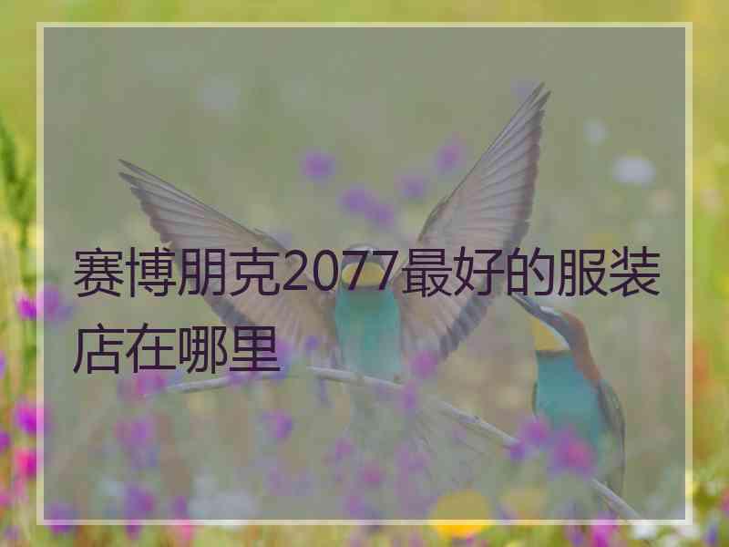 赛博朋克2077最好的服装店在哪里