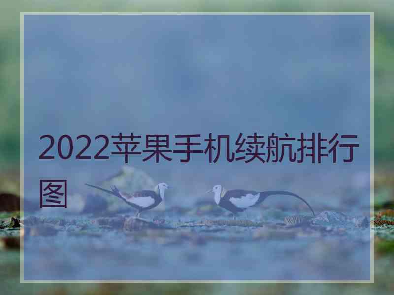 2022苹果手机续航排行图