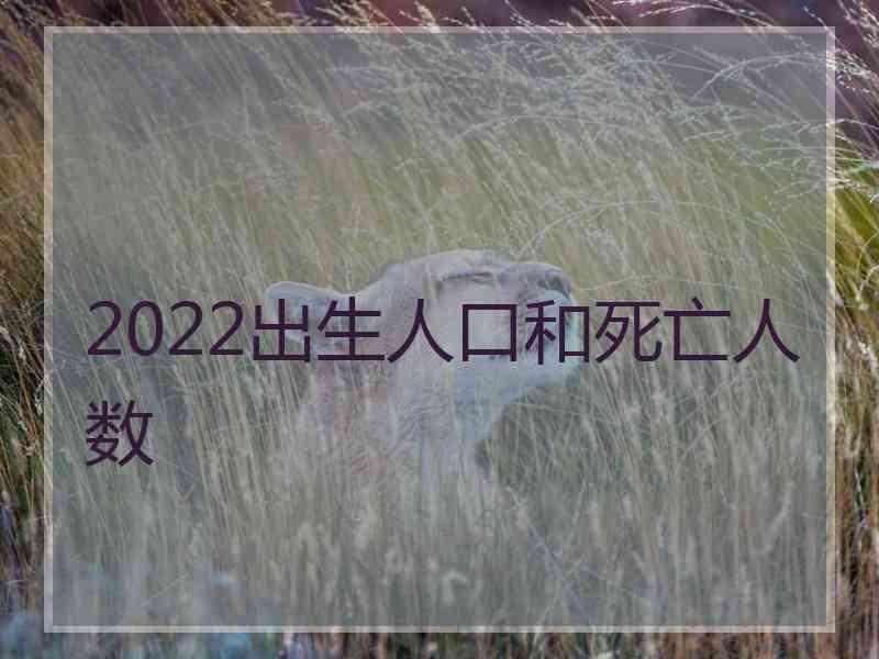 2022出生人口和死亡人数