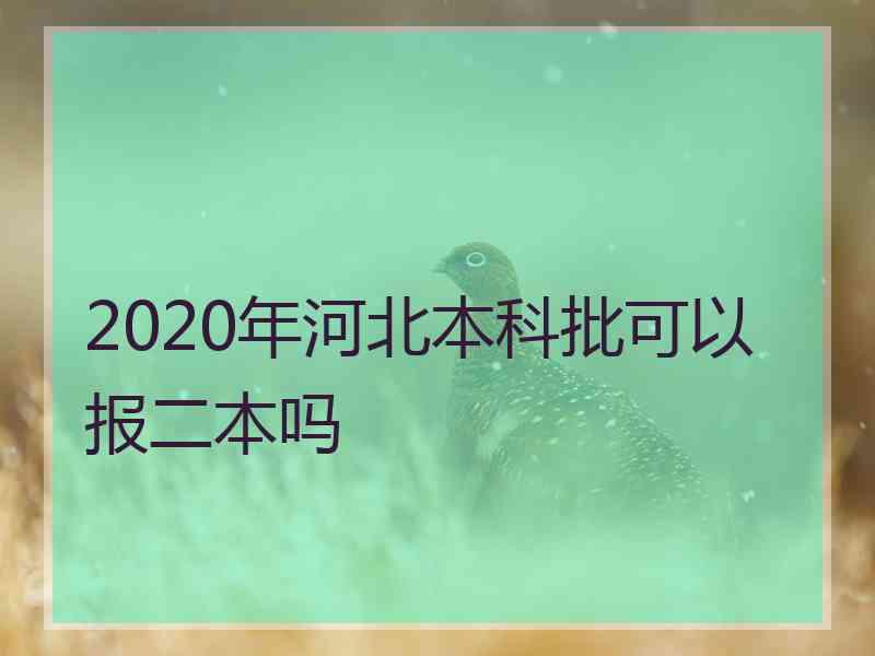 2020年河北本科批可以报二本吗