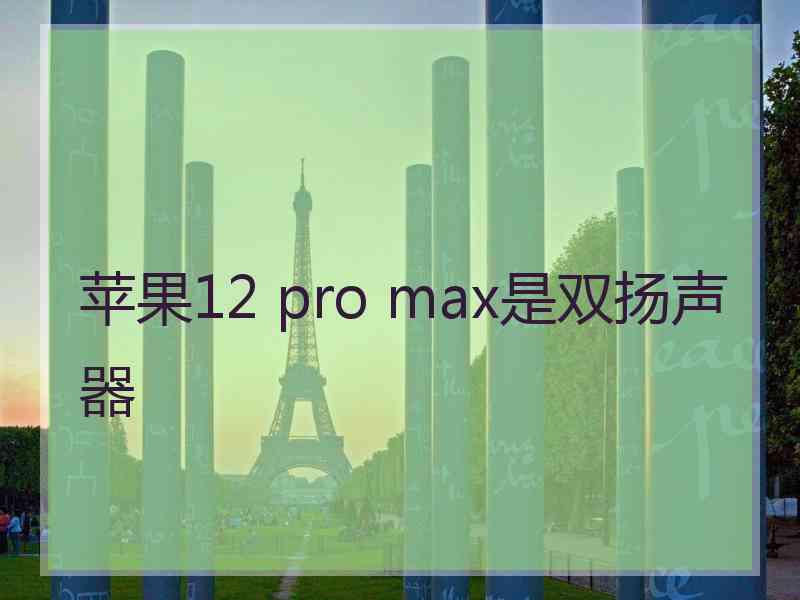 苹果12 pro max是双扬声器