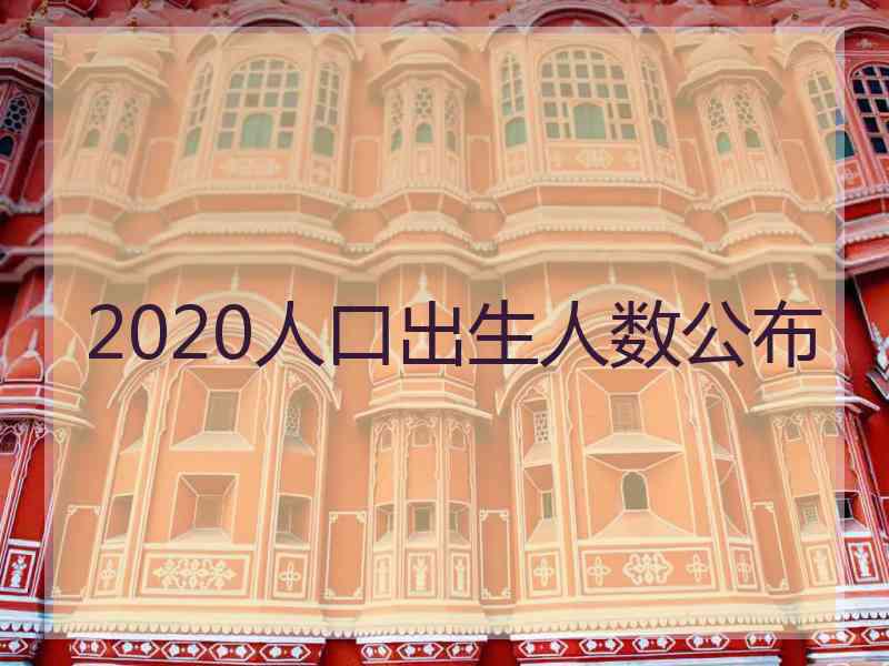 2020人口出生人数公布