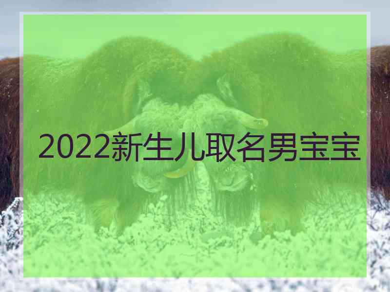 2022新生儿取名男宝宝