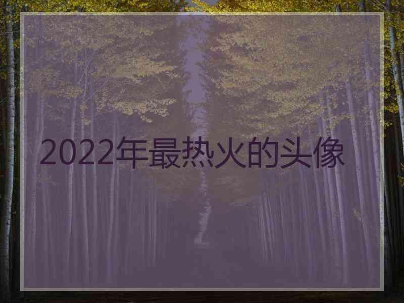 2022年最热火的头像