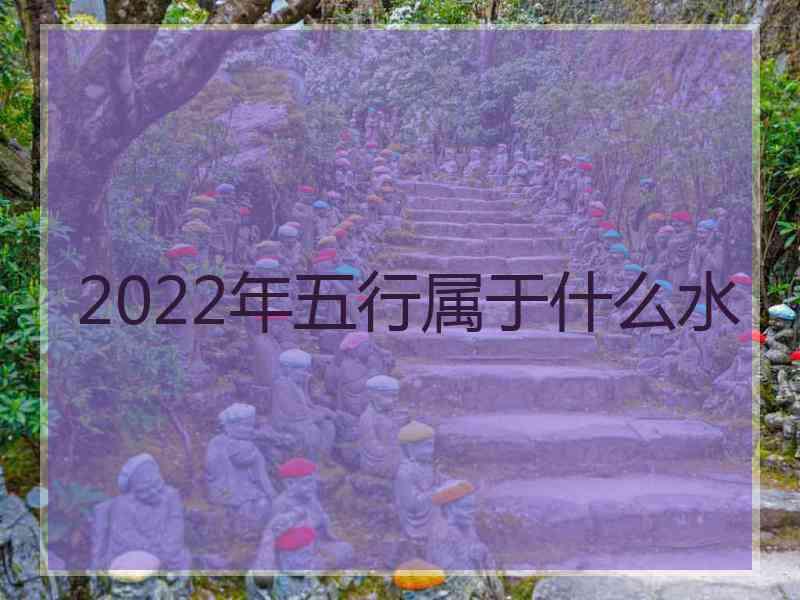 2022年五行属于什么水