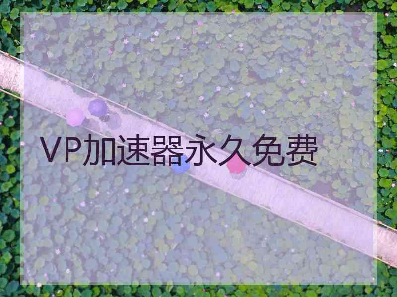 VP加速器永久免费