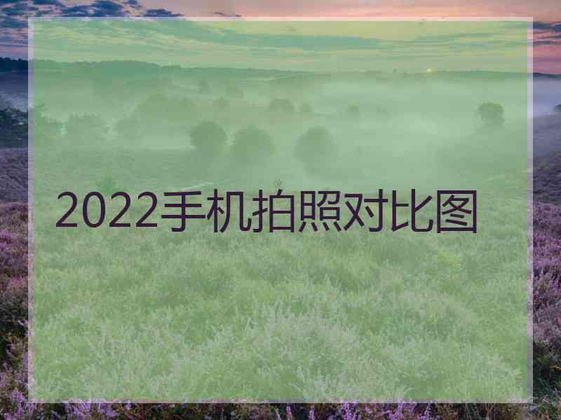 2022手机拍照对比图