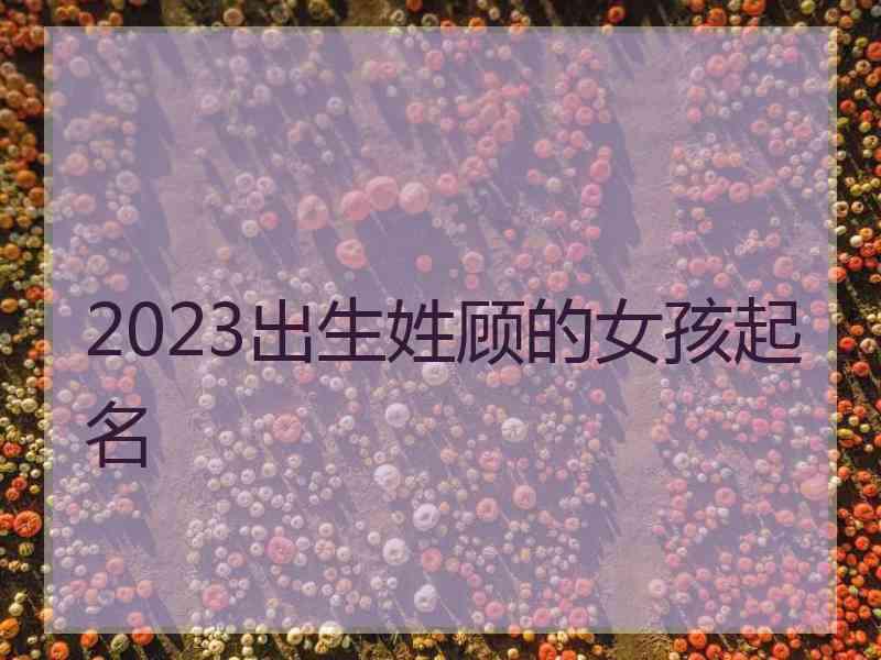 2023出生姓顾的女孩起名