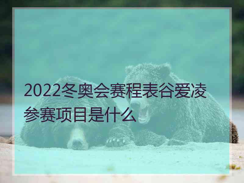 2022冬奥会赛程表谷爱凌参赛项目是什么