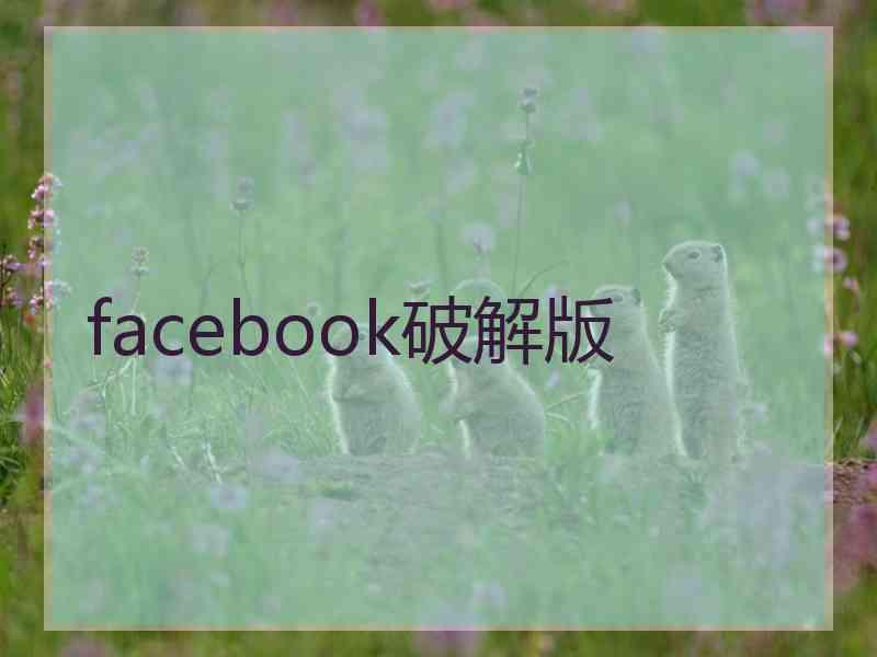 facebook破解版