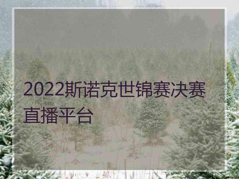 2022斯诺克世锦赛决赛直播平台