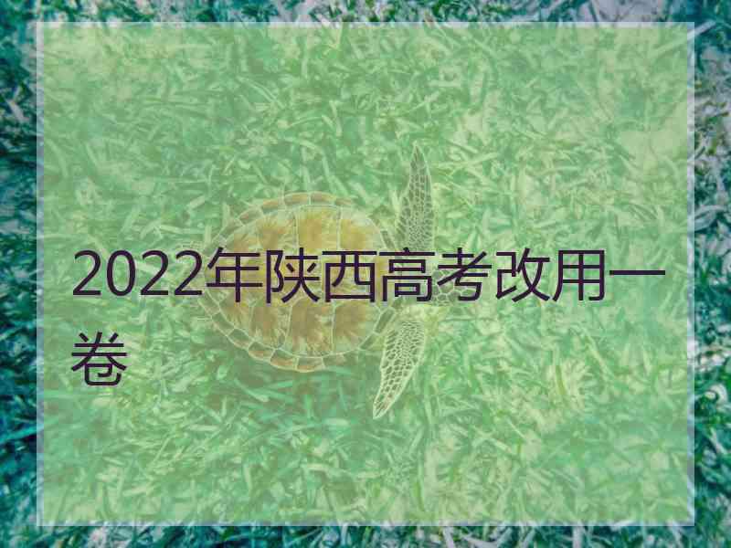 2022年陕西高考改用一卷