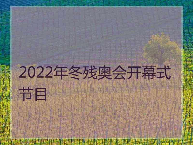 2022年冬残奥会开幕式节目