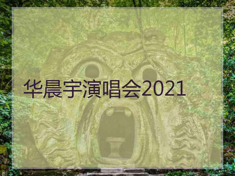 华晨宇演唱会2021