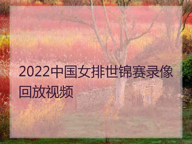 2022中国女排世锦赛录像回放视频