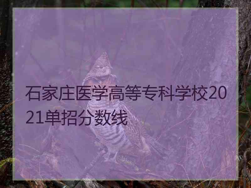 石家庄医学高等专科学校2021单招分数线