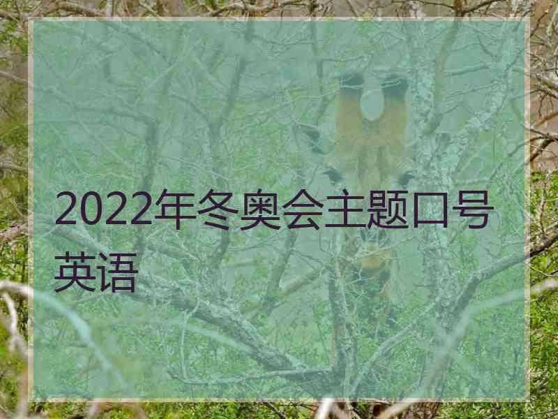 2022年冬奥会主题口号英语