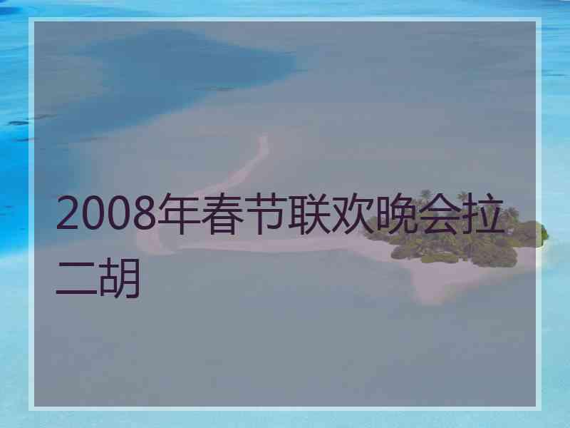 2008年春节联欢晚会拉二胡