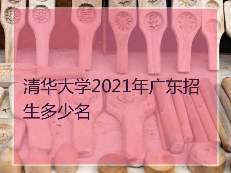 清华大学2021年广东招生多少名