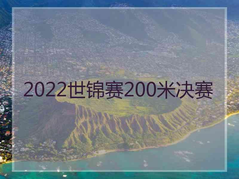 2022世锦赛200米决赛