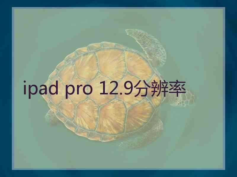 ipad pro 12.9分辨率