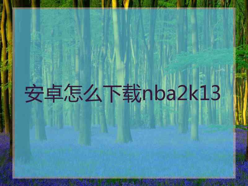 安卓怎么下载nba2k13