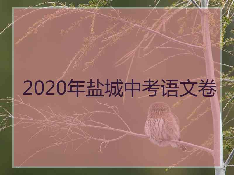 2020年盐城中考语文卷