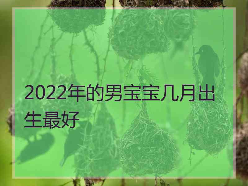 2022年的男宝宝几月出生最好