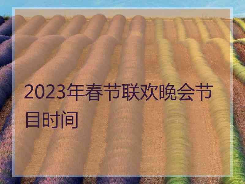 2023年春节联欢晚会节目时间