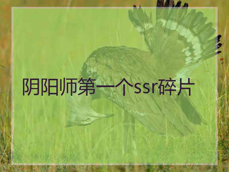 阴阳师第一个ssr碎片