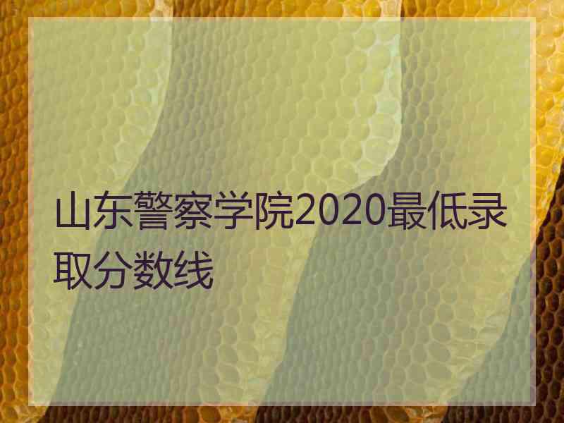 山东警察学院2020最低录取分数线