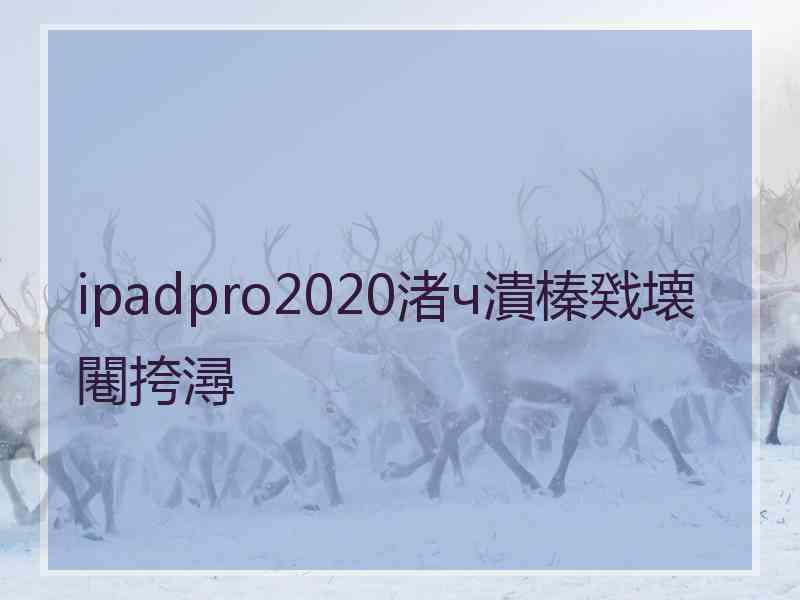 ipadpro2020渚ч潰榛戣壊闀挎潯