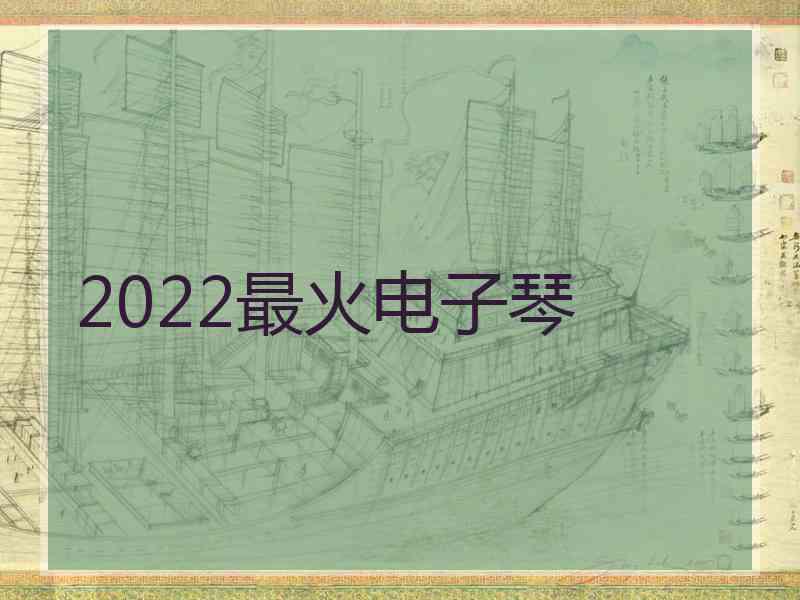 2022最火电子琴