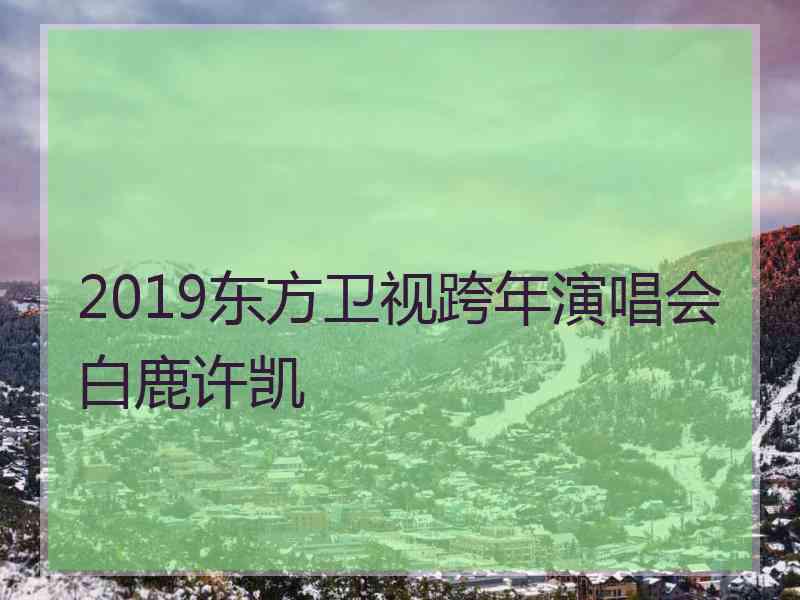 2019东方卫视跨年演唱会白鹿许凯