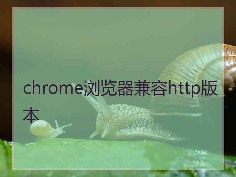 chrome浏览器兼容http版本