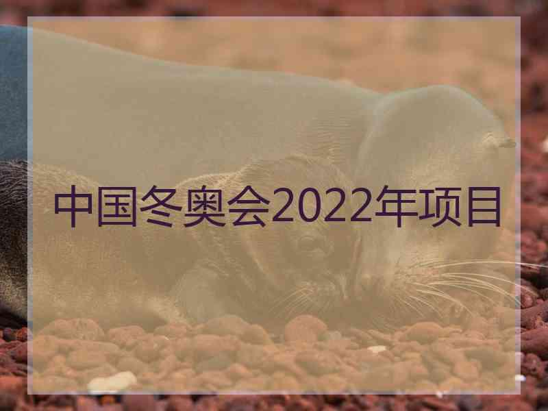 中国冬奥会2022年项目