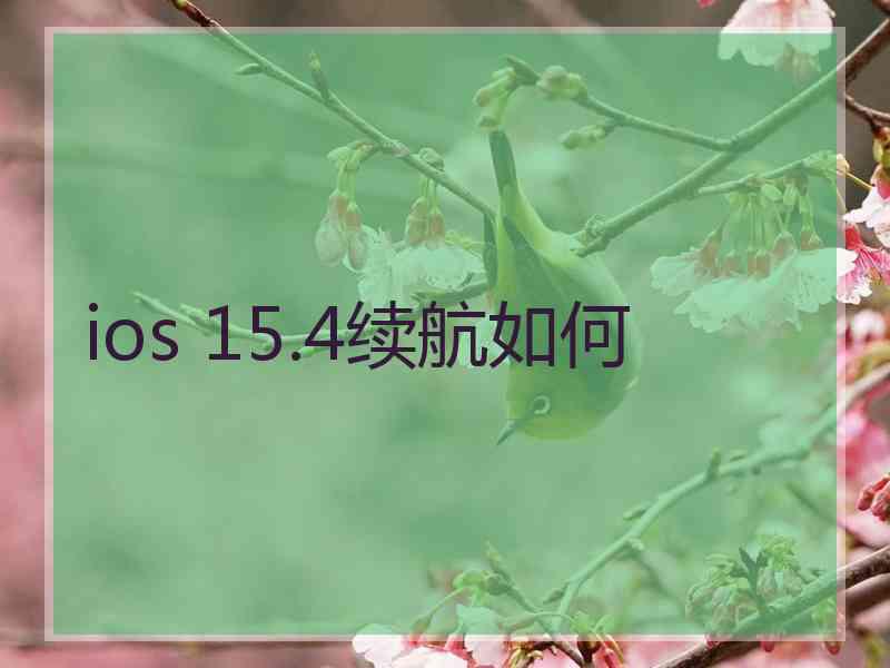 ios 15.4续航如何