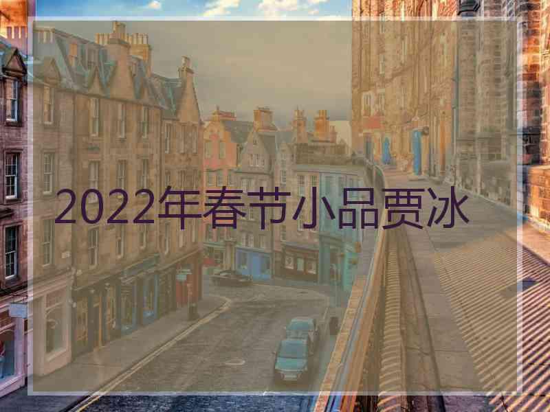 2022年春节小品贾冰