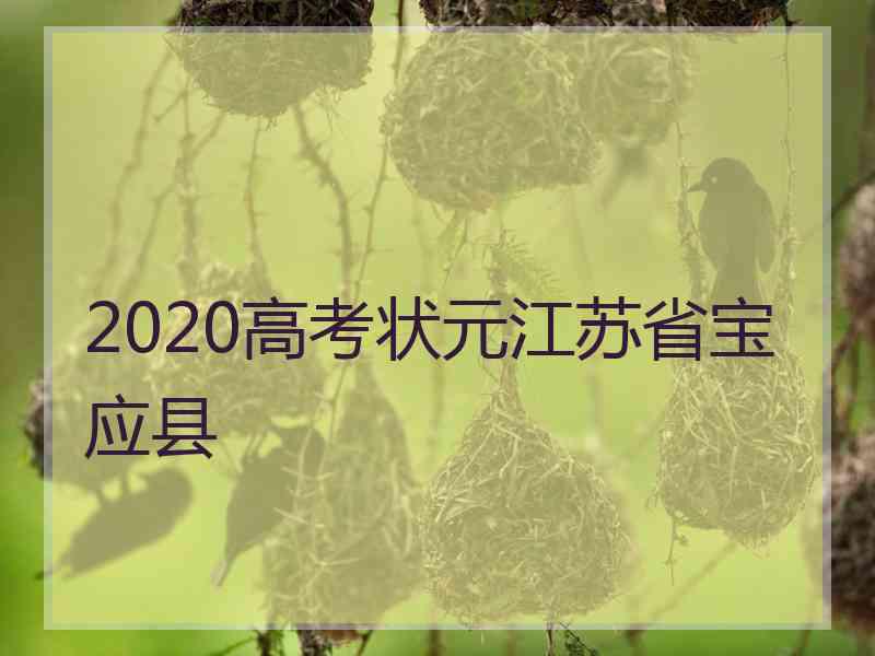 2020高考状元江苏省宝应县