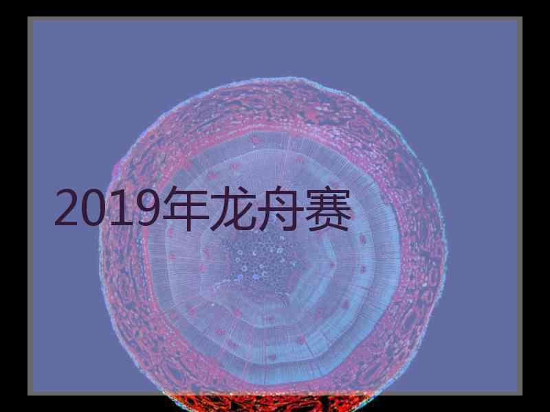 2019年龙舟赛