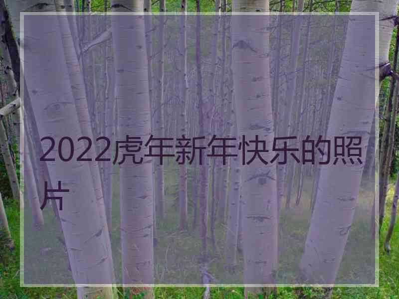 2022虎年新年快乐的照片