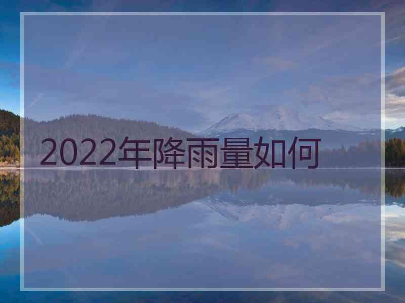 2022年降雨量如何