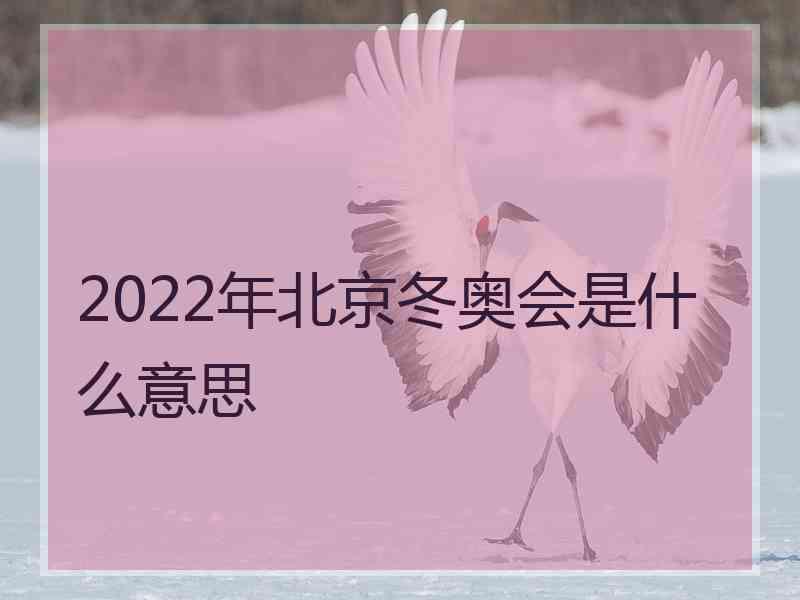 2022年北京冬奥会是什么意思