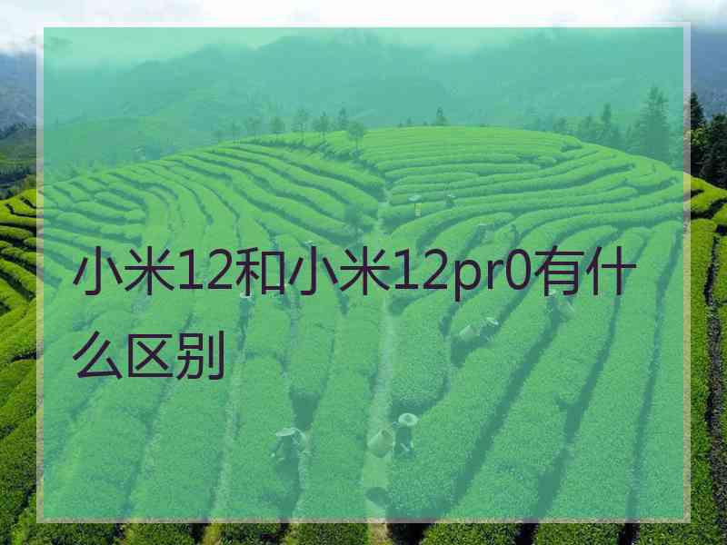 小米12和小米12pr0有什么区别