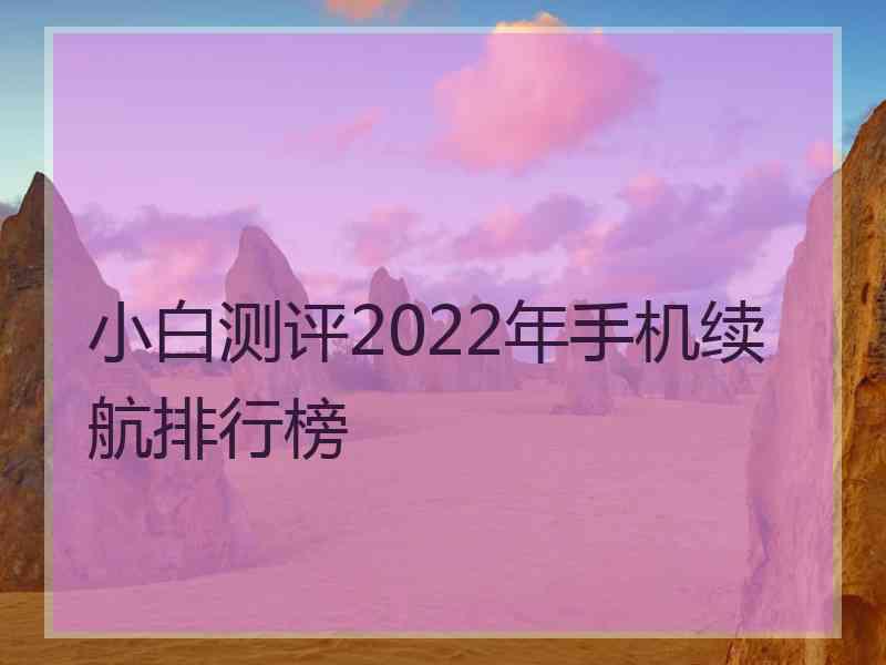 小白测评2022年手机续航排行榜