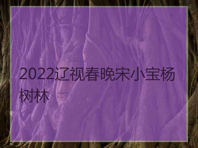 2022辽视春晚宋小宝杨树林