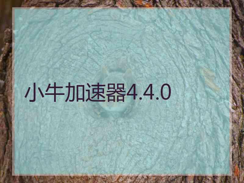 小牛加速器4.4.0