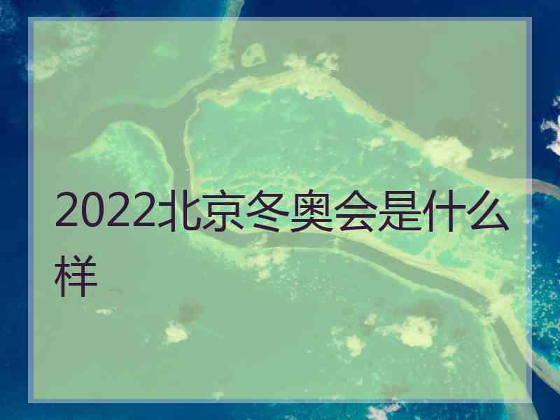 2022北京冬奥会是什么样